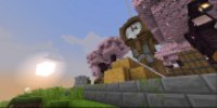 Hinode SMP