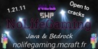 NoLifeGaming