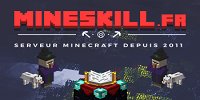 Mineskill.fr